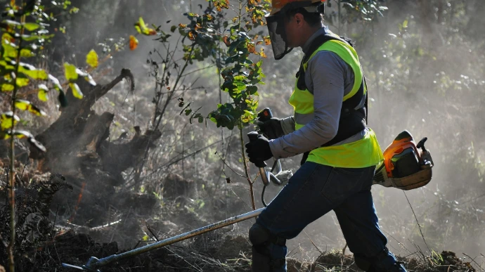 a man in a safety vest is using a tree trimmer
